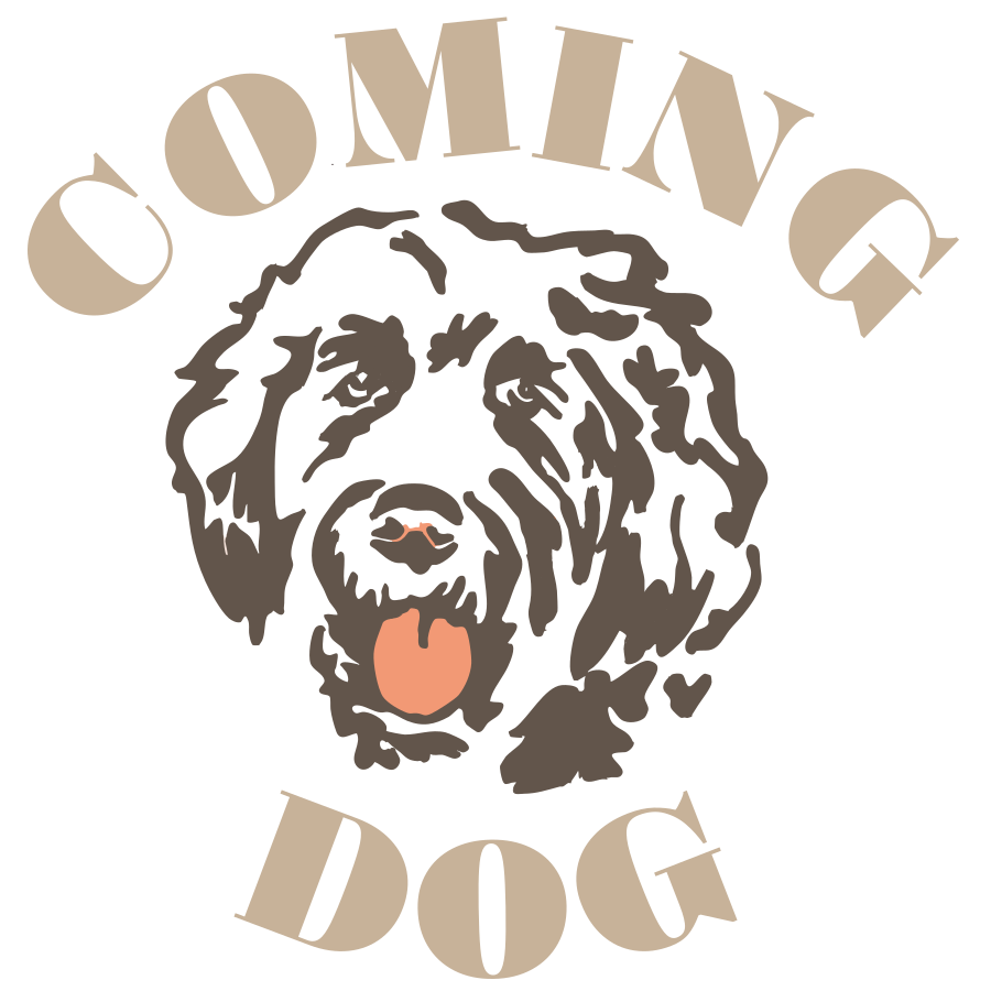 ComingDog Jamie – mehr als nur ein Besuchshund